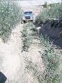 EB_20070715_24