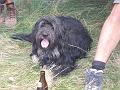 EB_20070715_51